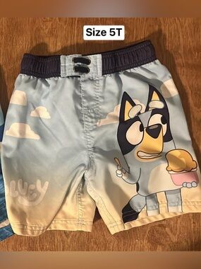 Bluey Swim Trunks / Board Shorts
